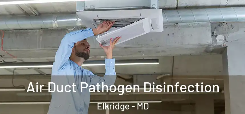  Air Duct Pathogen Disinfection Elkridge - MD