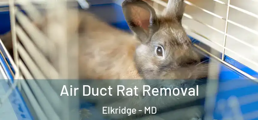  Air Duct Rat Removal Elkridge - MD