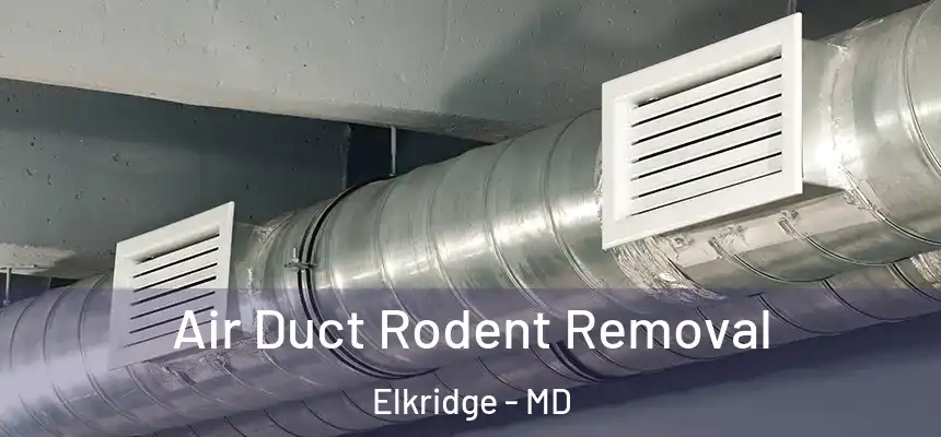  Air Duct Rodent Removal Elkridge - MD