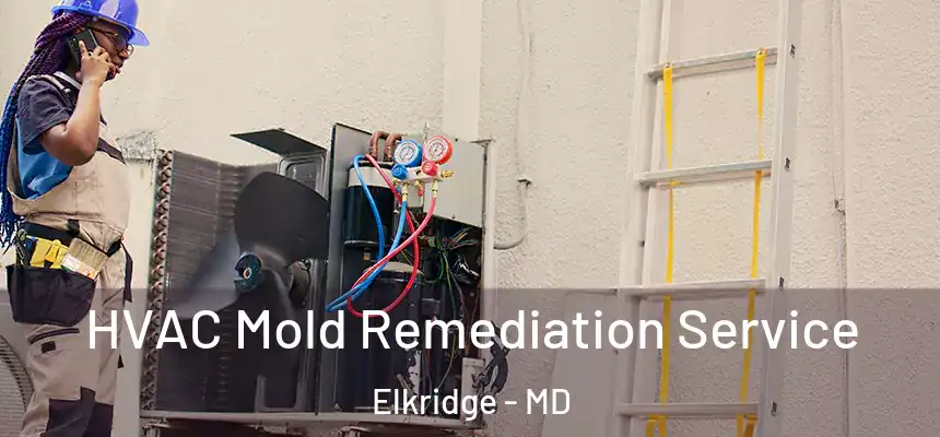  HVAC Mold Remediation Service Elkridge - MD