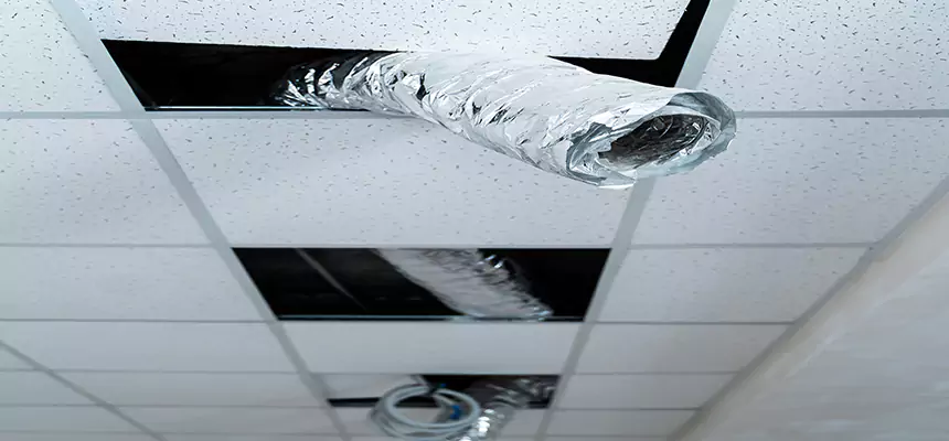 Affordable HVAC Sanitizing After Pest Removal in Elkridge