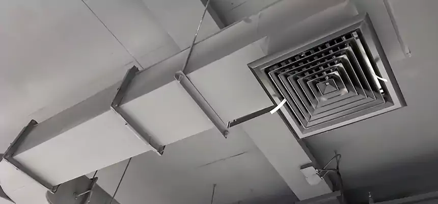 Restorative Allergy Relief Vent Cleaning – Coil, Blower & Housing Detail in Elkridge