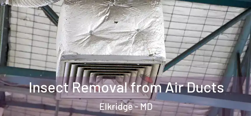  Insect Removal from Air Ducts Elkridge - MD