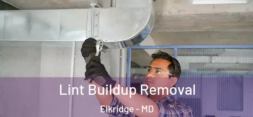  Lint Buildup Removal Elkridge - MD