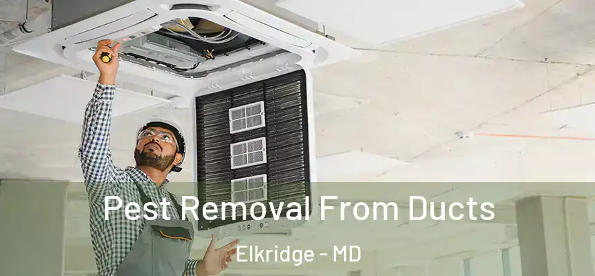  Pest Removal From Ducts Elkridge - MD