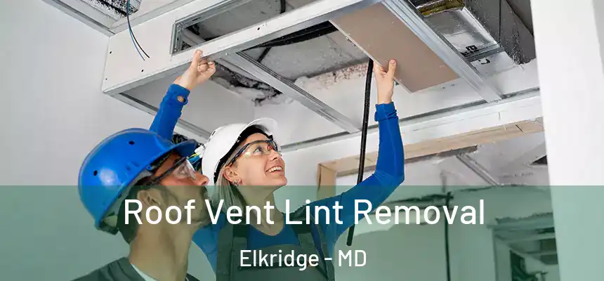  Roof Vent Lint Removal Elkridge - MD