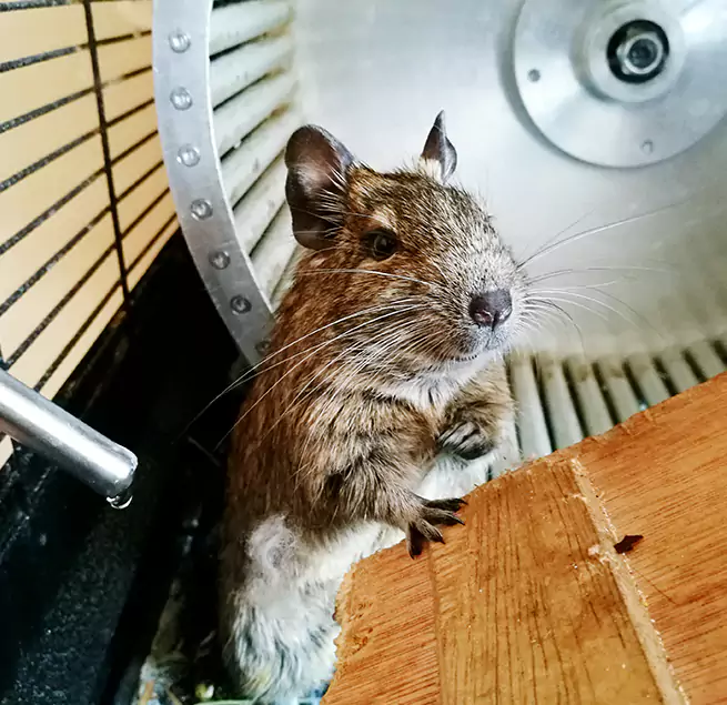 Why Homeowners & Businesses Trust Us Elkridge, MD?