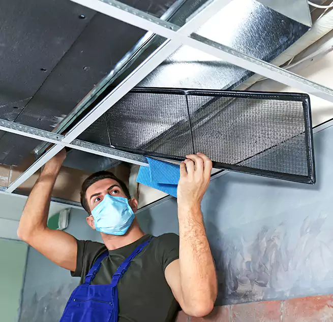 Why Homeowners Businesses Trust Us in Elkridge, MD